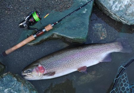 大物大漁となるはずが… ～天竜川ルアーフライ専用区～